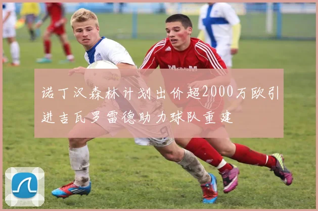 诺丁汉森林计划出价超2000万欧引进吉瓦罗雷德助力球队重建