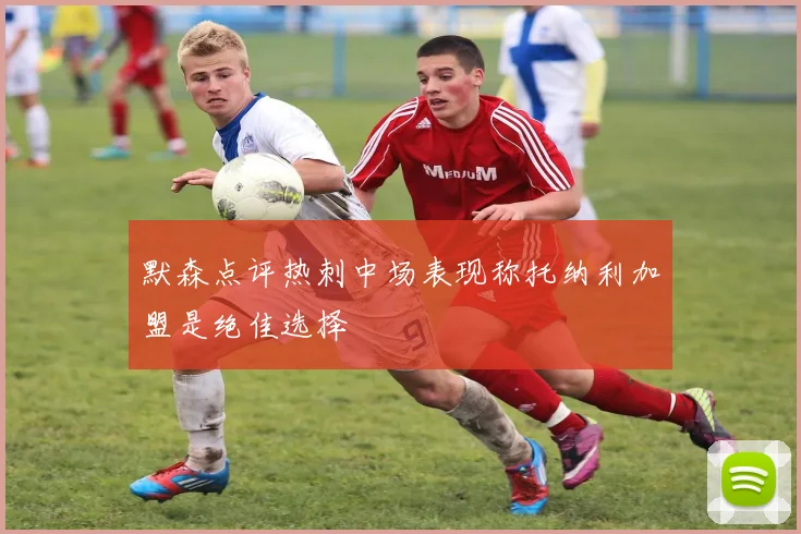 默森点评热刺中场表现称托纳利加盟是绝佳选择