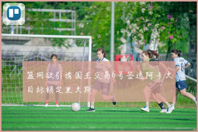 篮网欲引诱国王交易6号签选阿卡夫目标锁定里夫斯